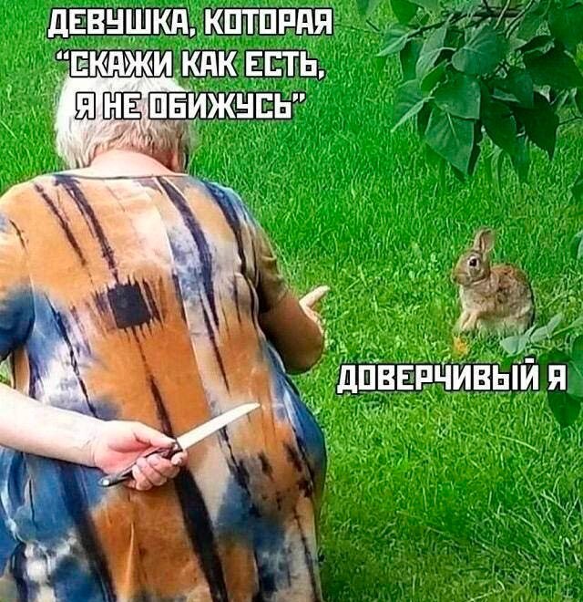 Скрины из соцсетей