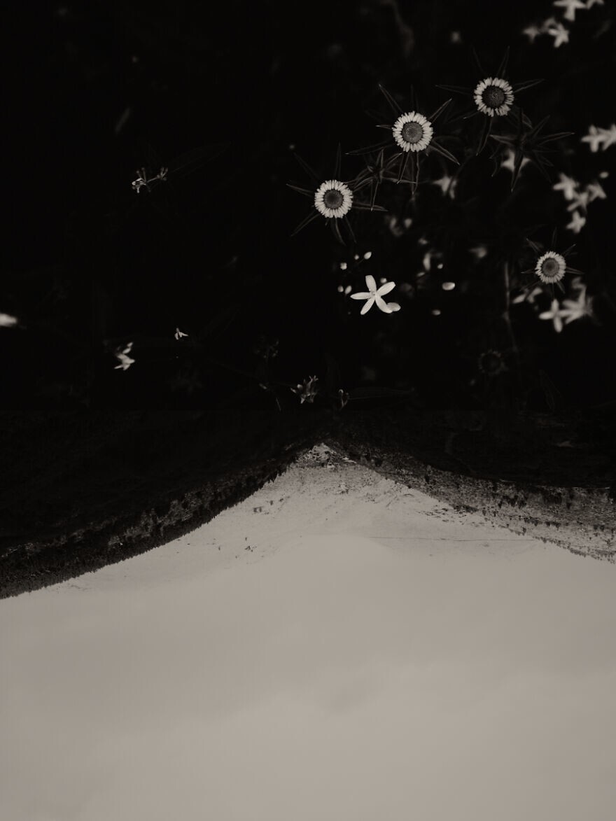 16. "Диптих 128" © Жауме Льоренс