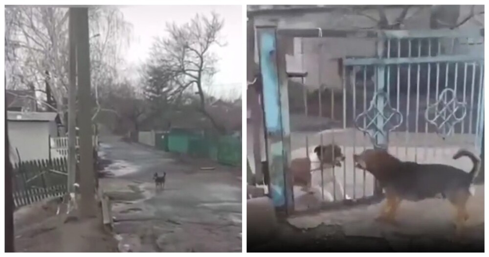 Типичные споры в интернете