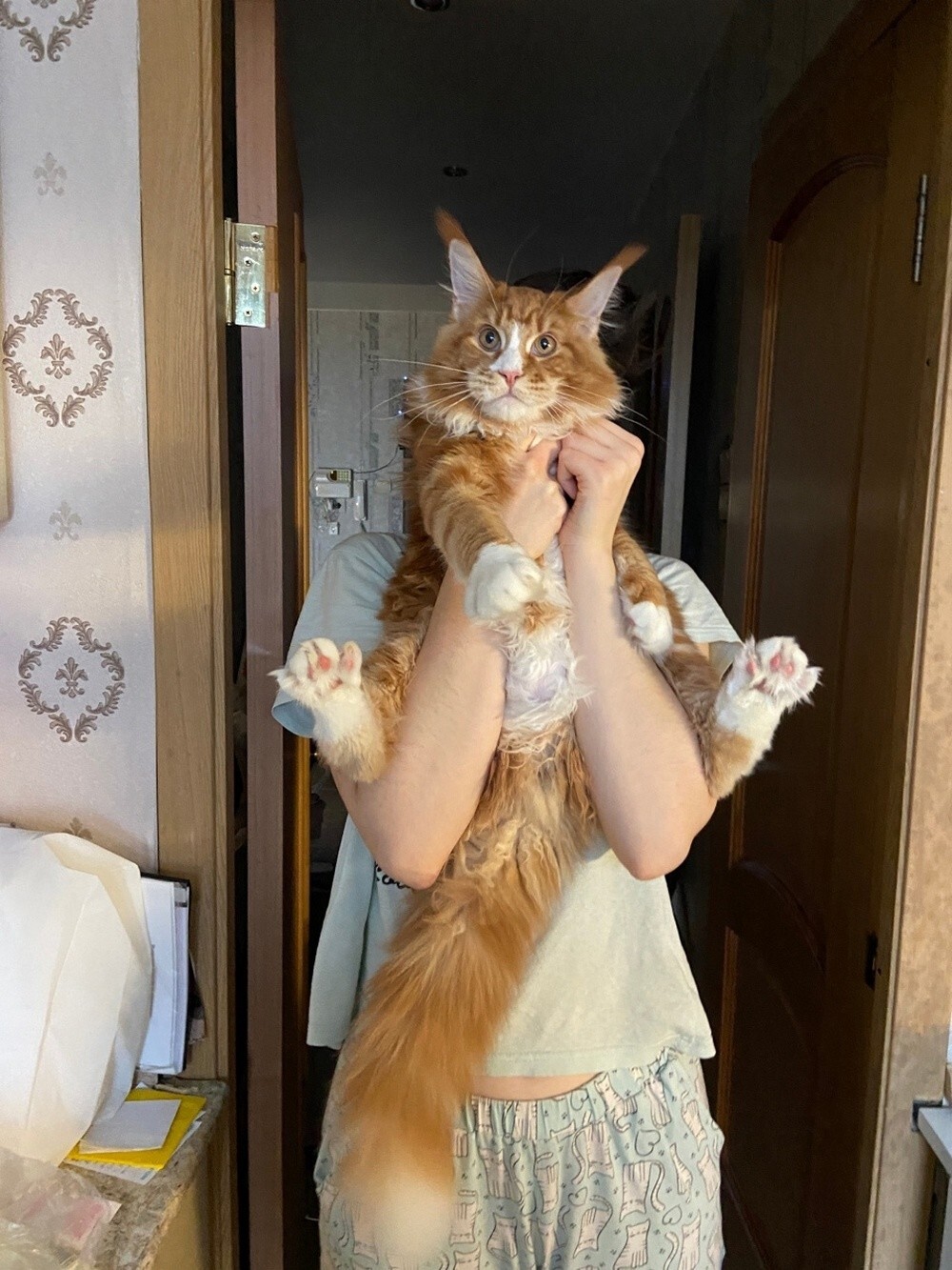 На общую тему 