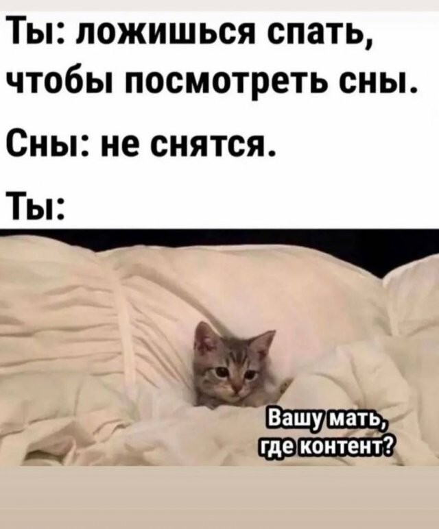 Скрины из соцсетей            