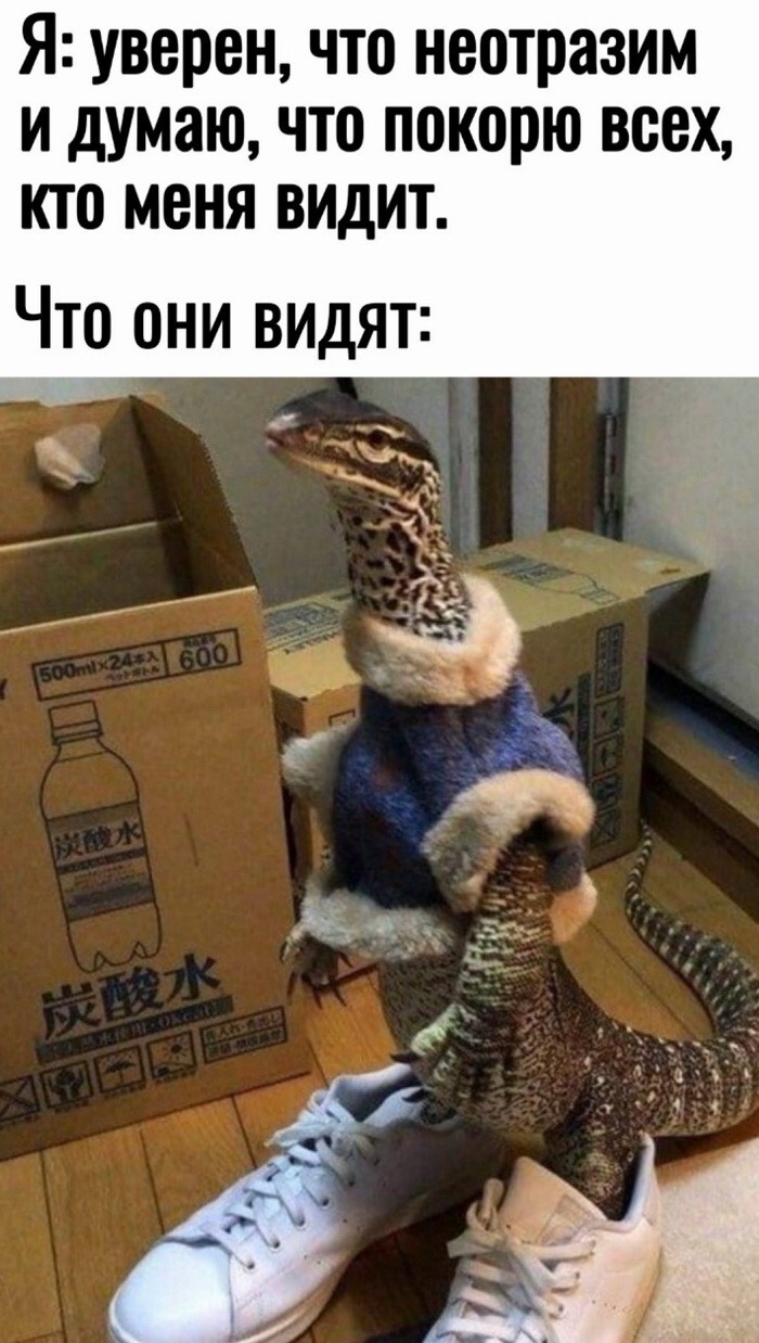 Скрины из соцсетей            
