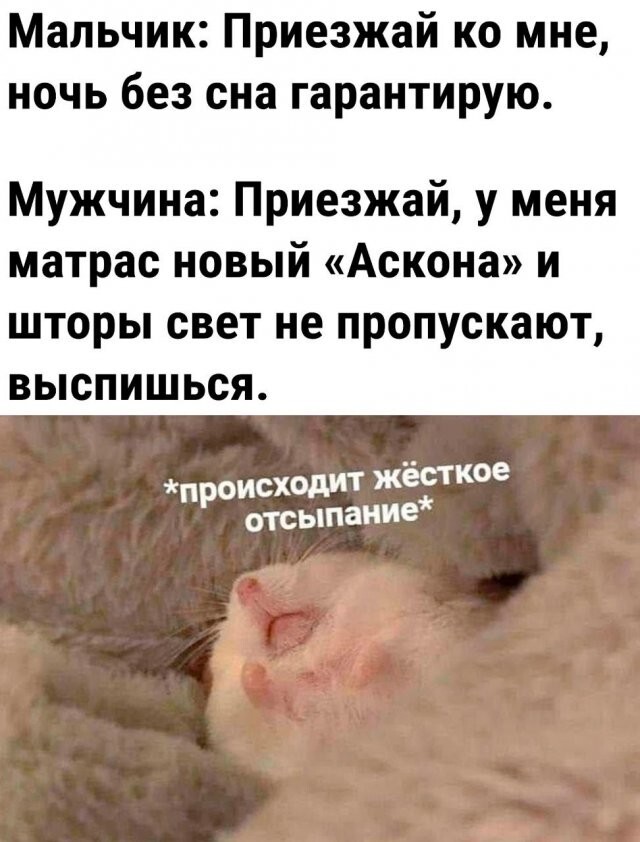 Скрины из соцсетей            