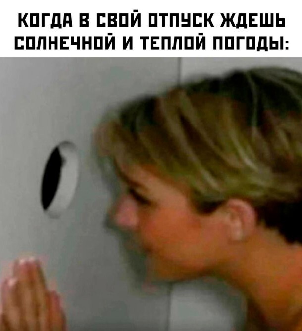 Скрины из соцсетей            