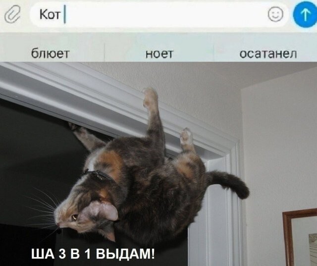 Скрины из соцсетей            