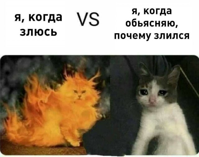 Скрины из соцсетей            