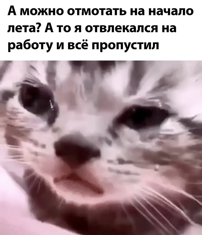 Скрины из соцсетей            