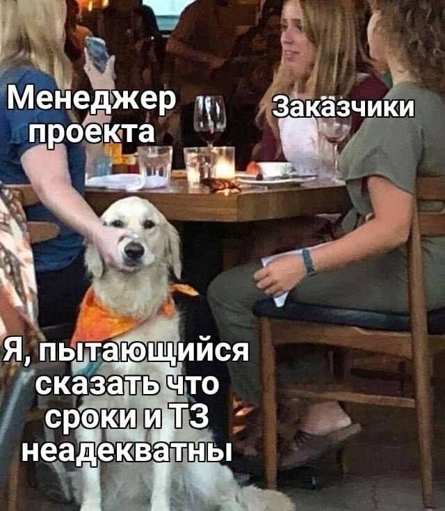 Скрины из соцсетей            
