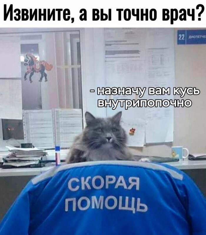 Скрины из соцсетей            