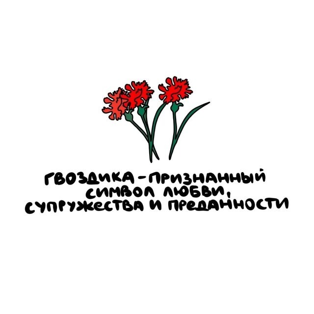 А вдруг ты не знал…
