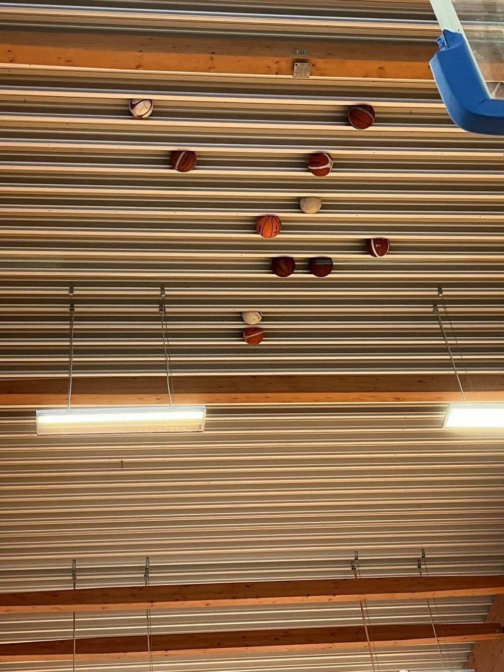 На общую тему 