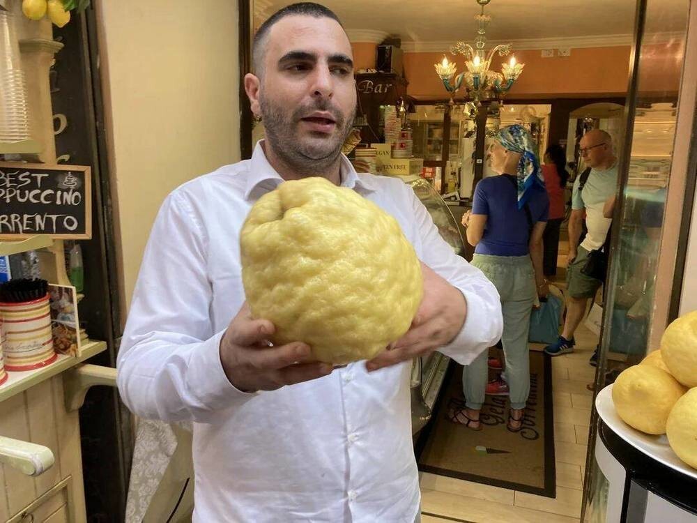 На общую тему 