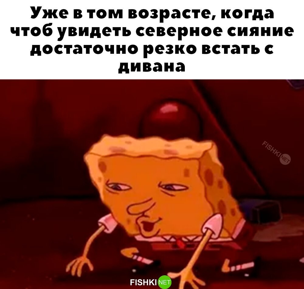 Скрины из соцсетей            