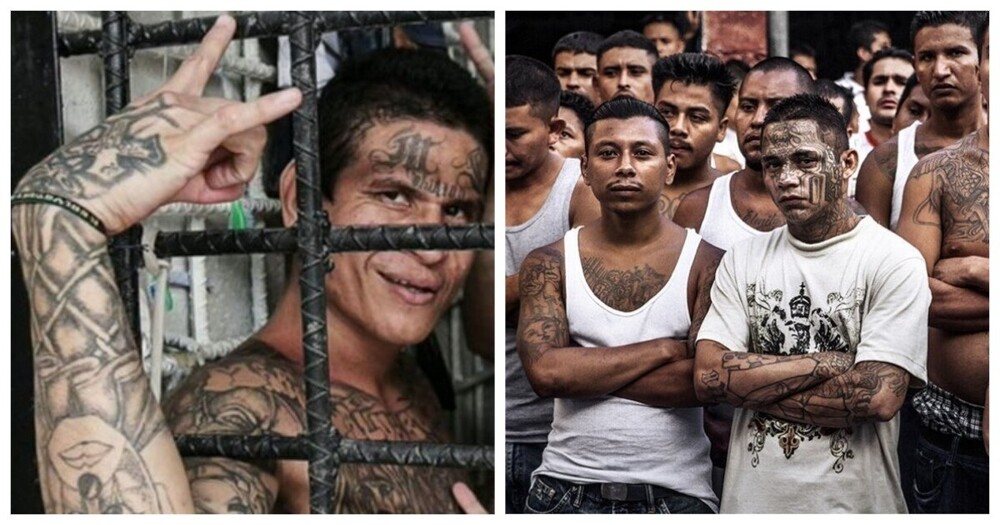 MS-13: история самой жестокой банды в мире