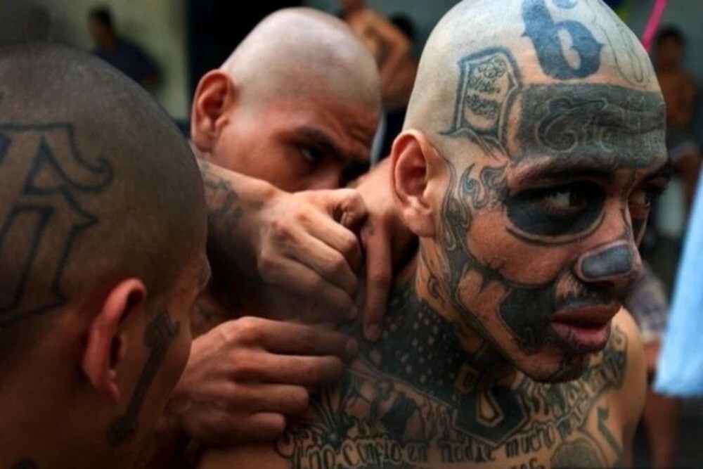 MS-13: история самой жестокой банды в мире