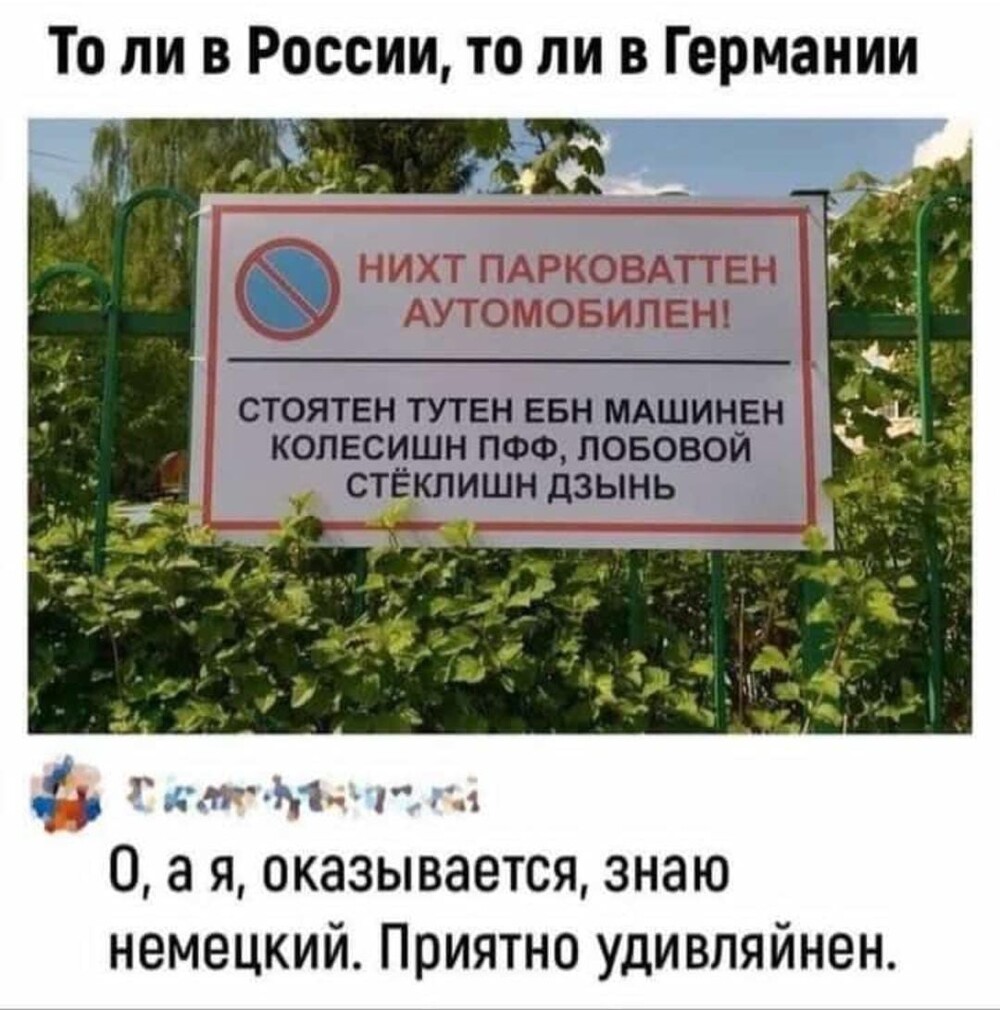 Баянистый воскресный юморок