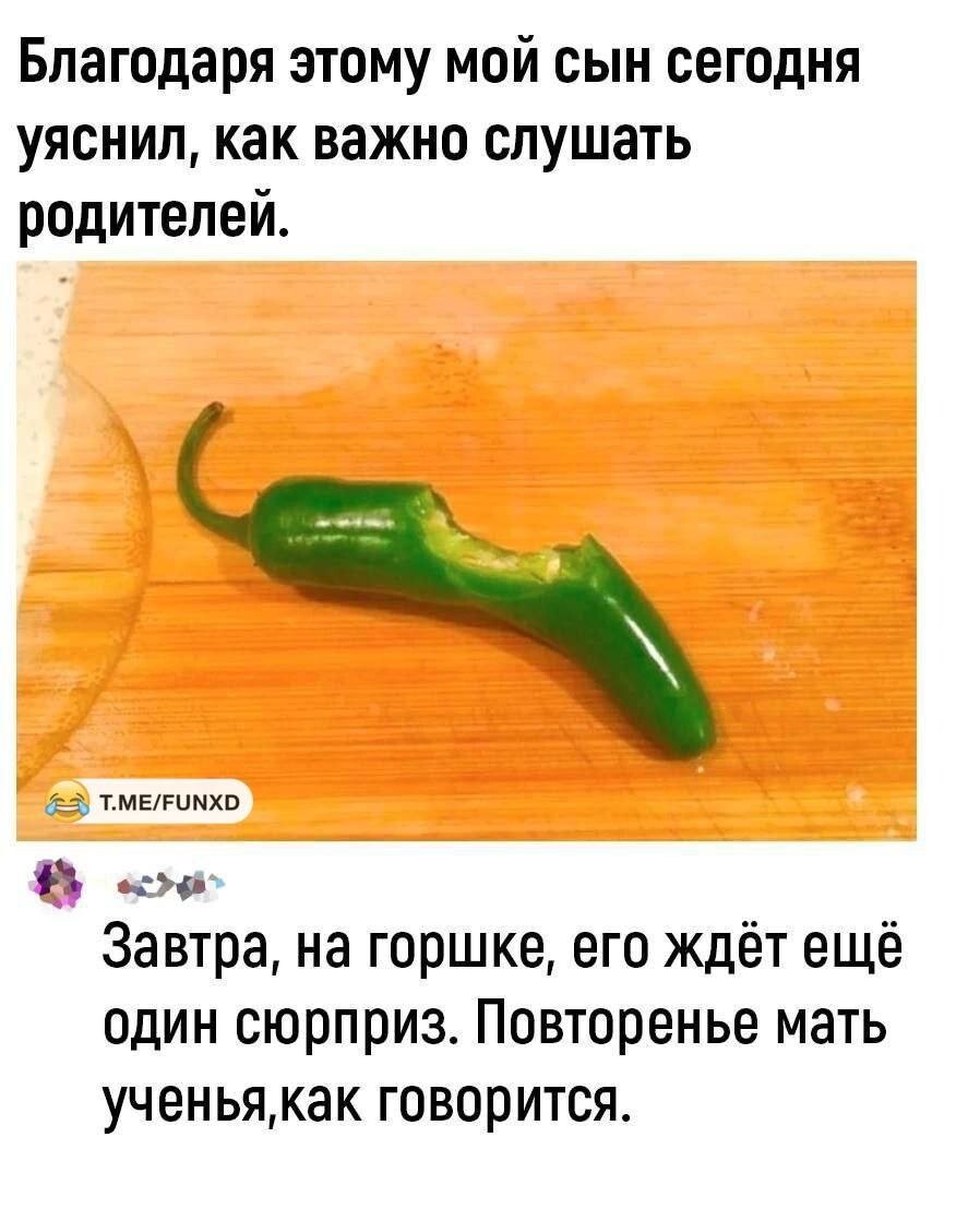 Баянистый воскресный юморок