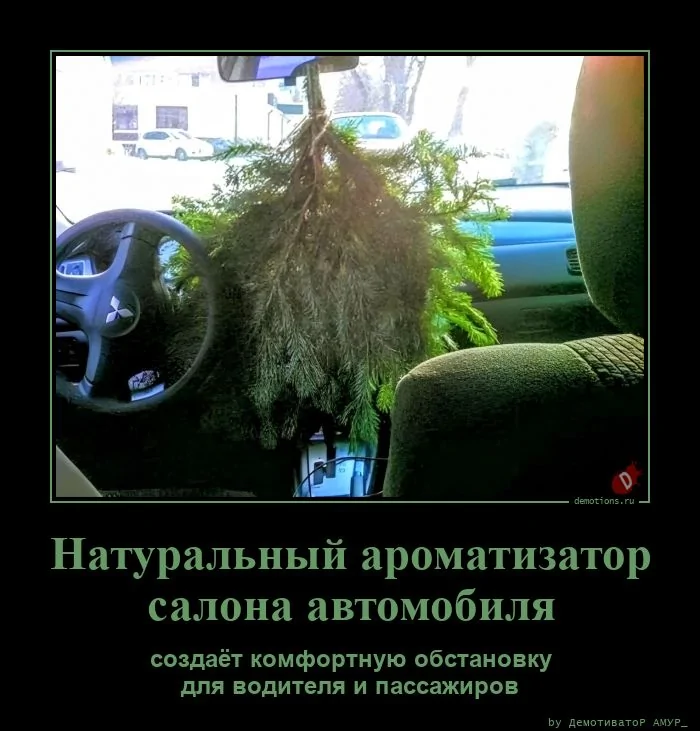 69571725073588-naturalnyy-aromatiza-demo