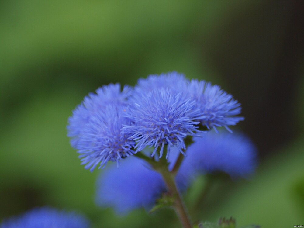 Немножко вам кусочков этого лета