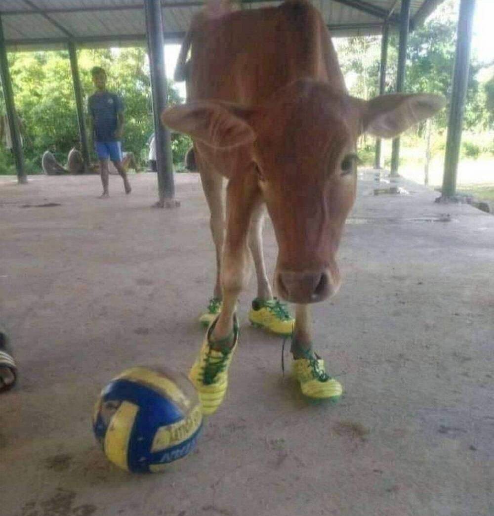 На общую тему 