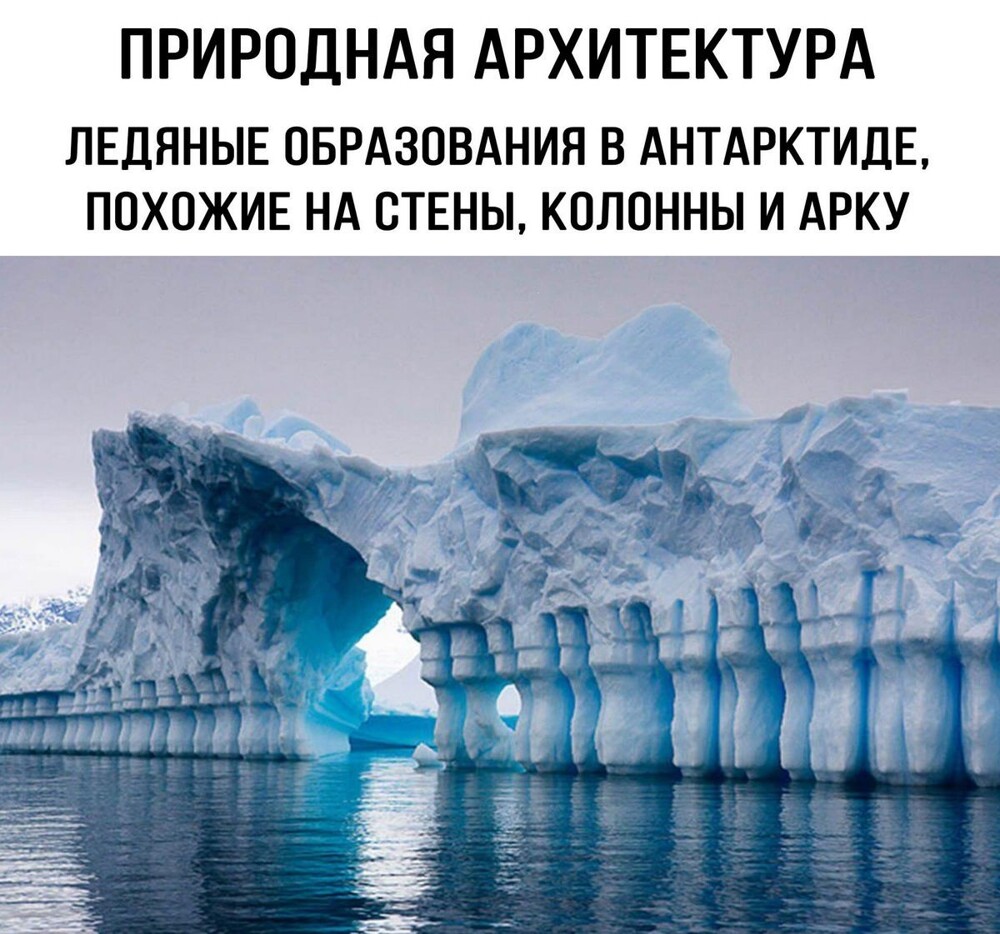 На общую тему 