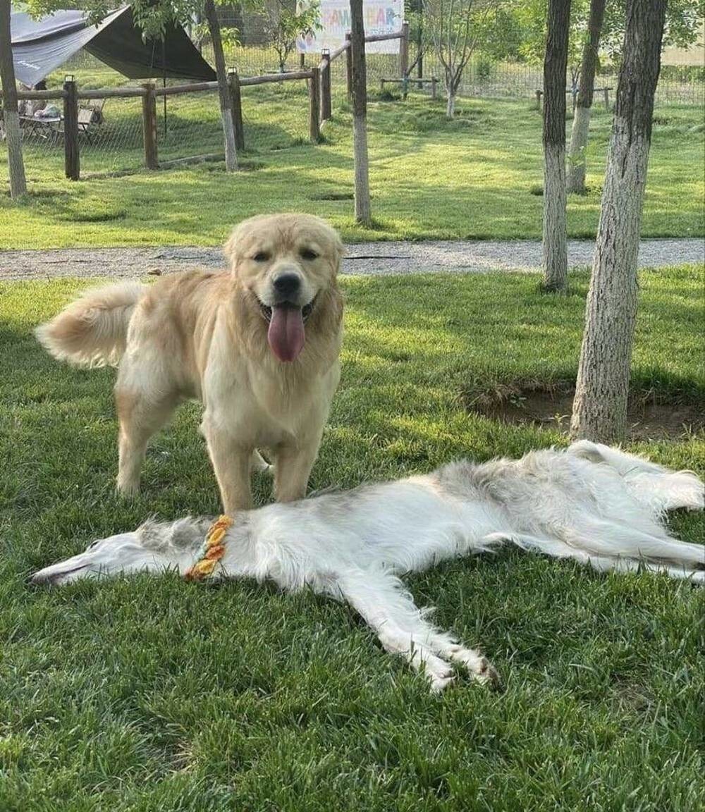 На общую тему 