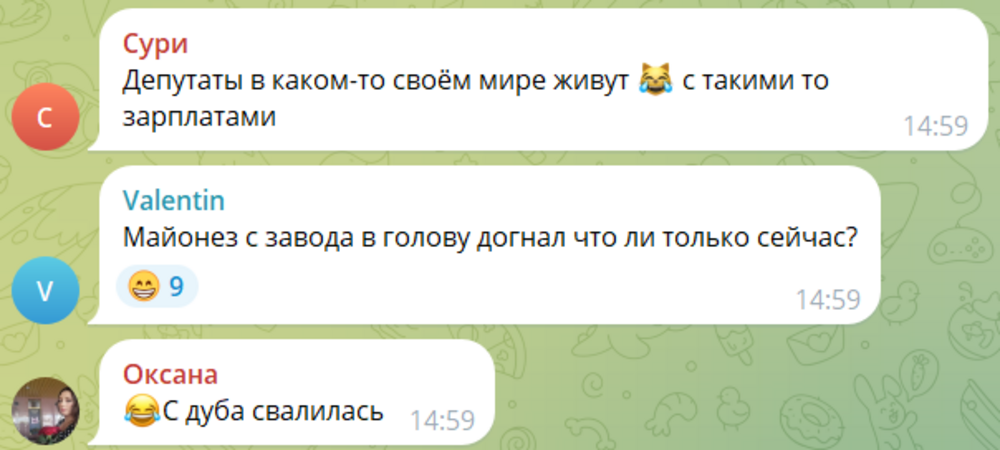 «Я на заводе получала зарплату курями и майонезом»: депутат Госдумы назвала «нехорошей» идею материальных выплат за детей и предложила рожать с 18 лет