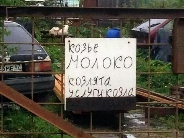 ФотоВсячина
