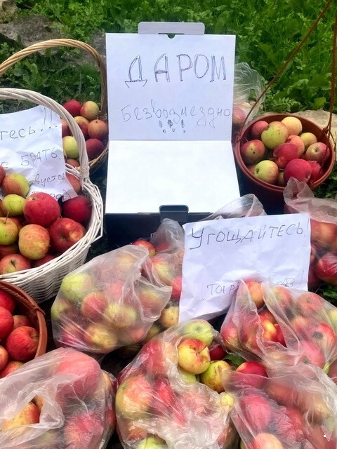 ФотоВсячина