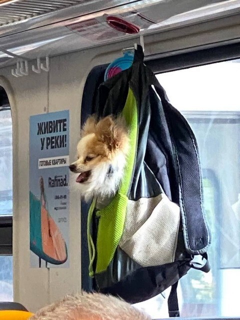 ФотоВсячина