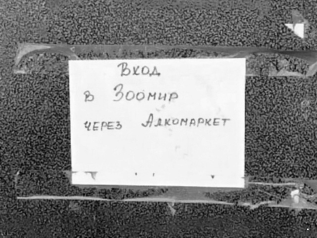 ФотоВсячина