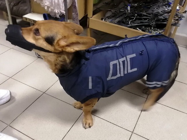 ФотоВсячина