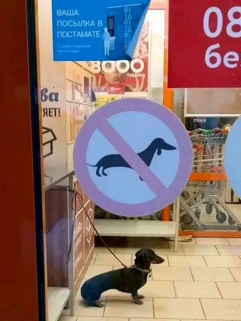 ФотоВсячина