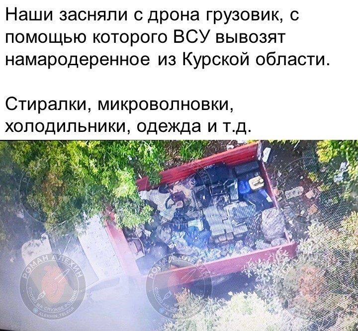 Политический мониторинг (443)