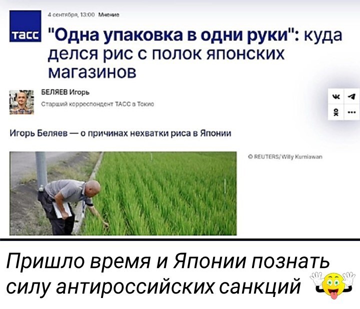 Политический мониторинг (443)