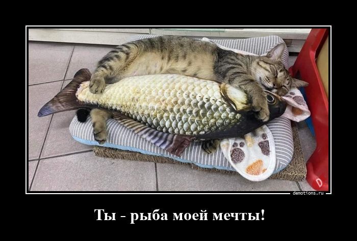 Ты - рыба моей мечты!