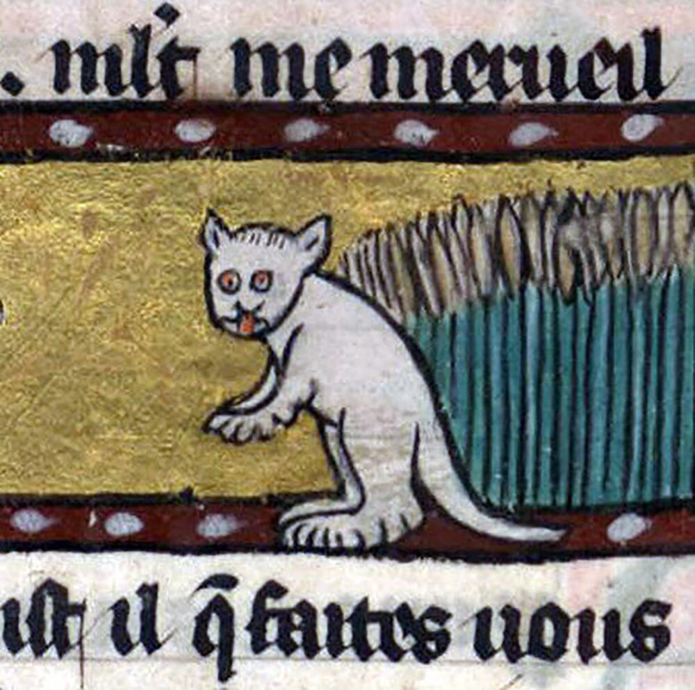 19. Кот, Франция, XIV век