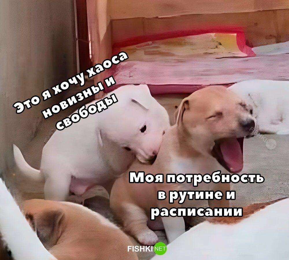 Классика 