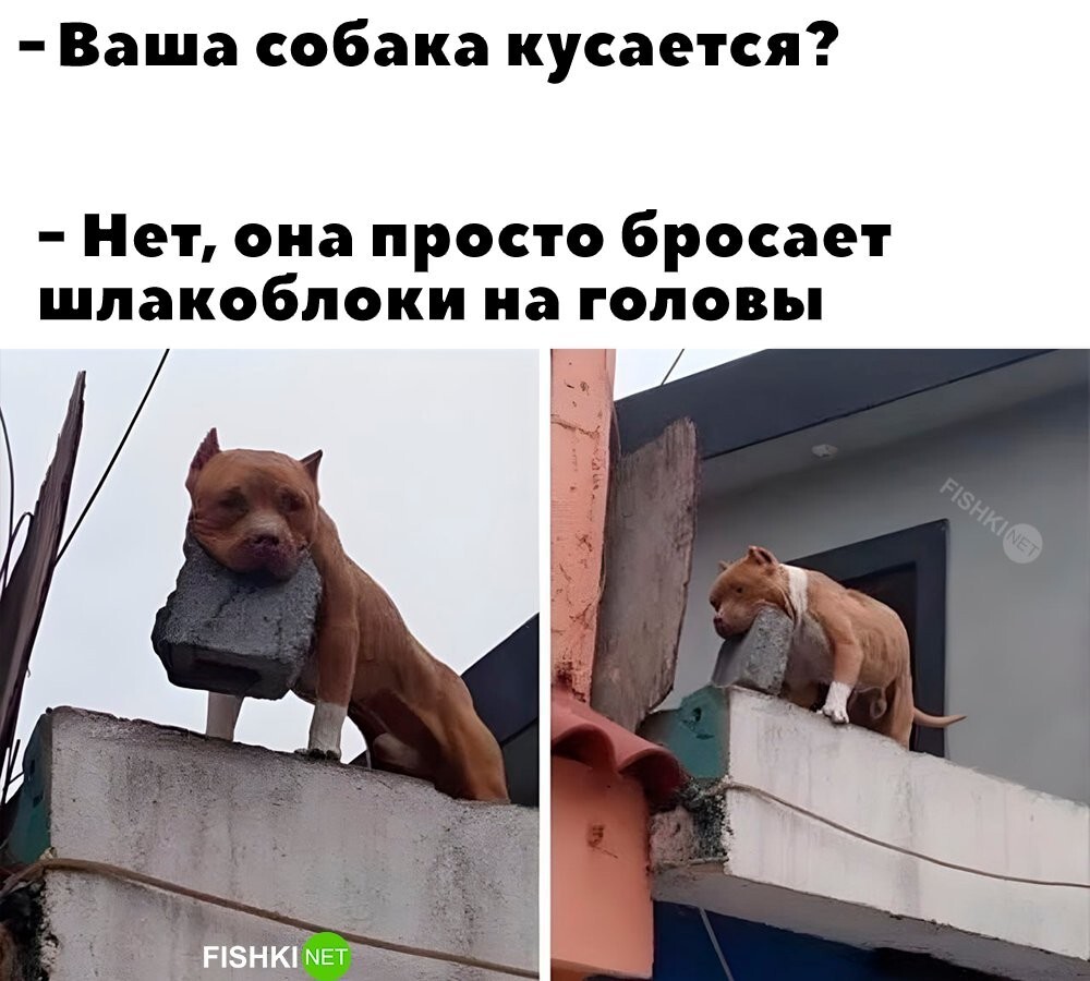 Хороший мальчик