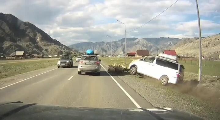 Чудесное спасение баранов