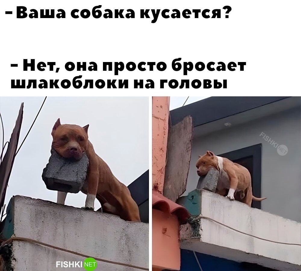 Всем добрейшего