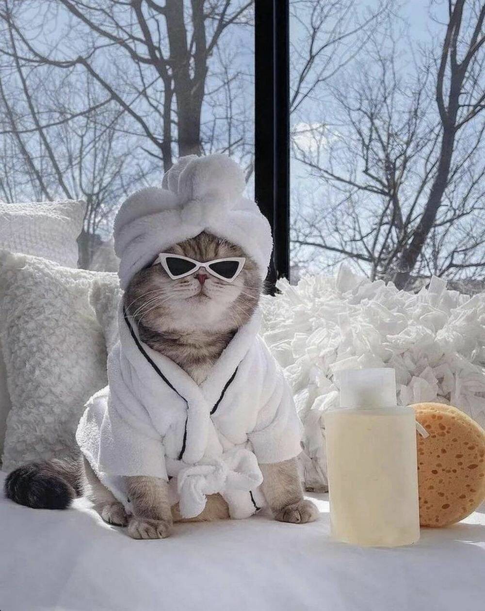 На общую тему 