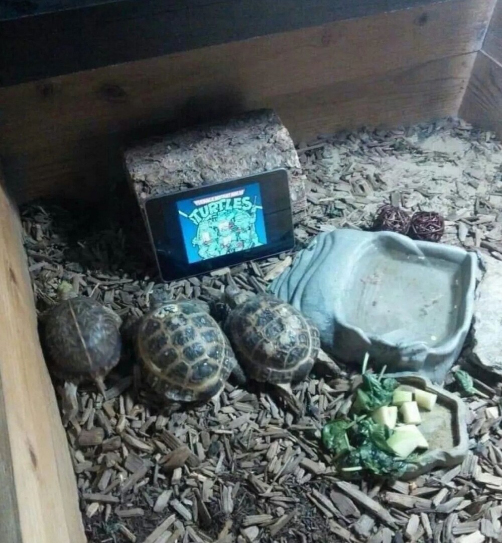 На общую тему 