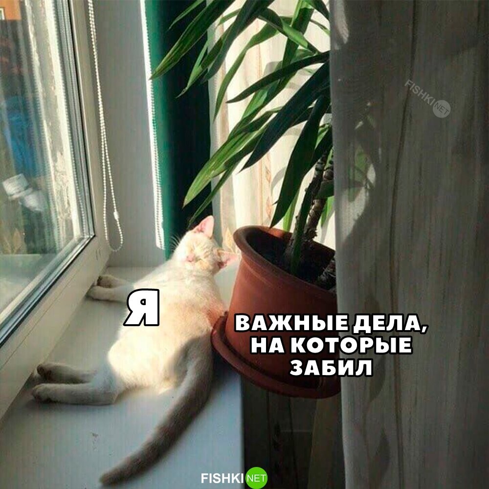 Не такие уж и важные дела