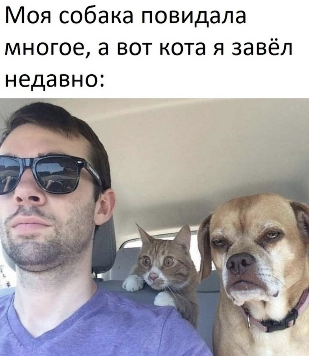 На общую тему 