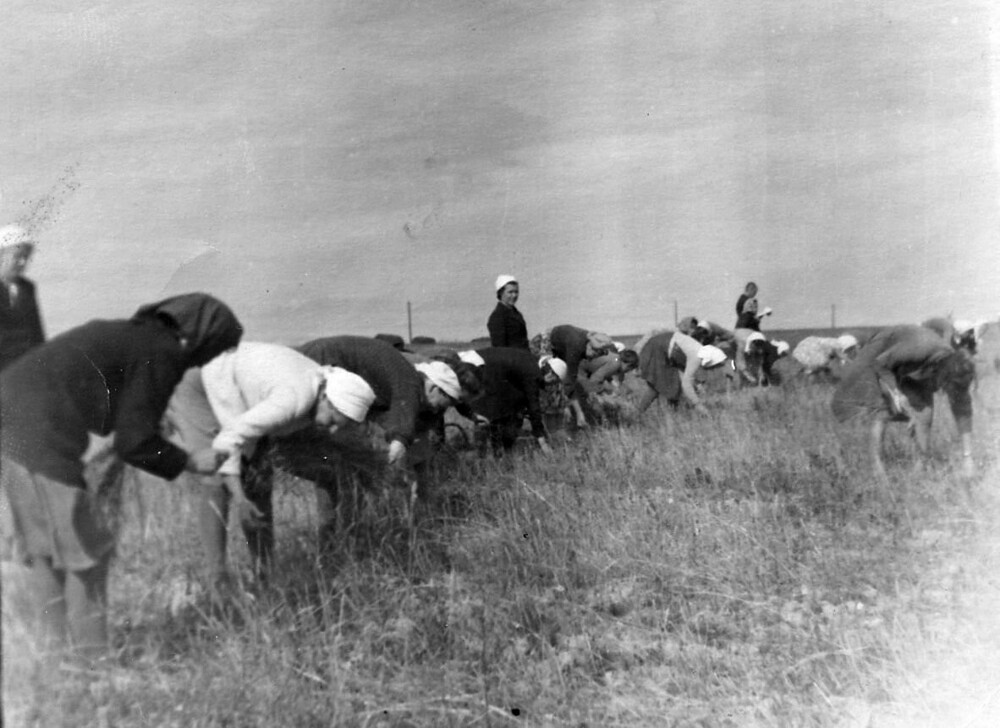 Интересные фотографии времен СССР (20/09/2024)