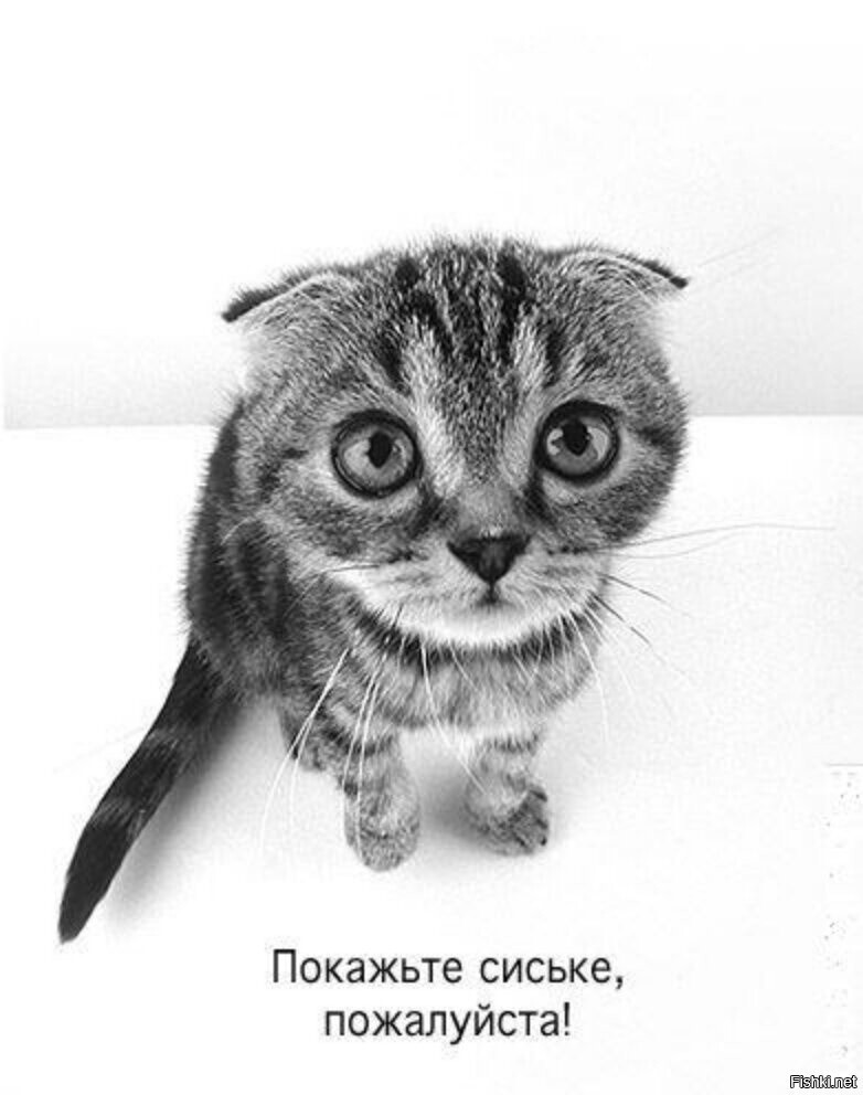 Уже полчаса как нет