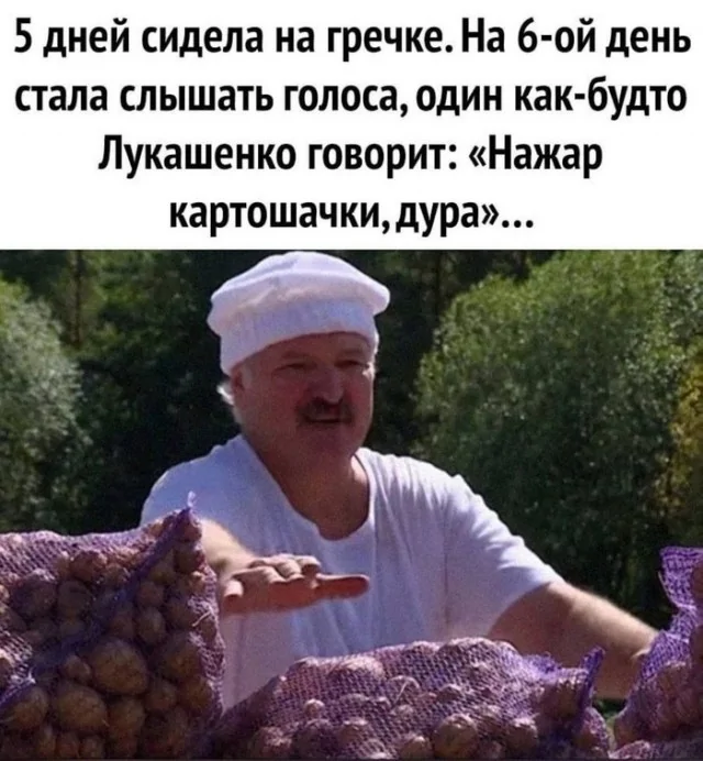 198829fcef5e931acc9242b544e53da9.jpg.web