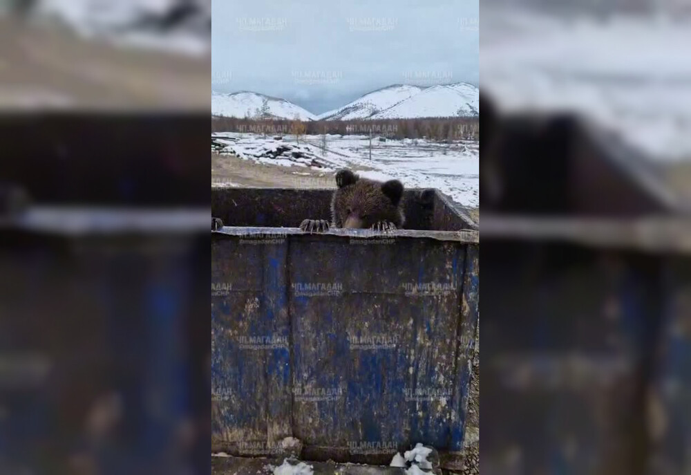 «Какие вы классные! Давай дружить!»