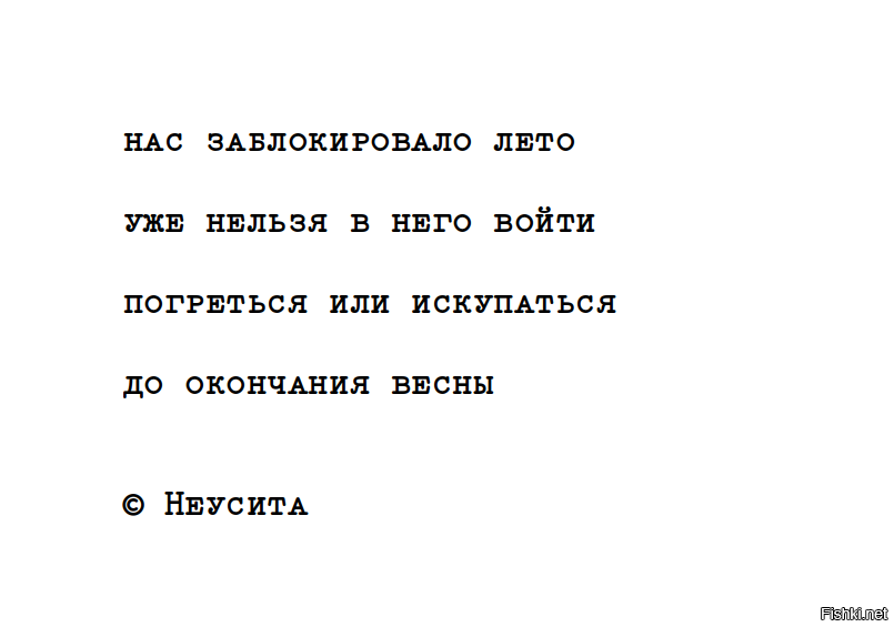 Солянка от 21.09.2024